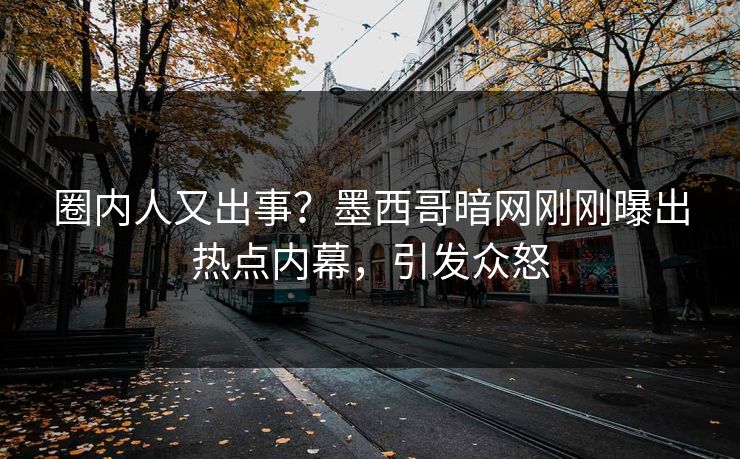 圈内人又出事？墨西哥暗网刚刚曝出热点内幕，引发众怒