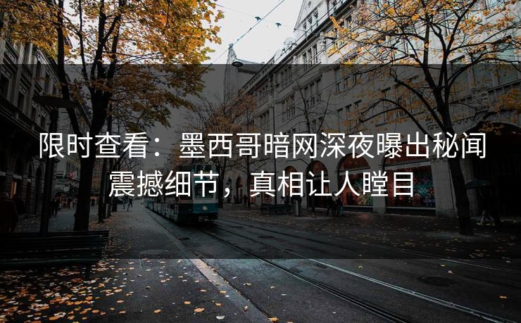 限时查看：墨西哥暗网深夜曝出秘闻震撼细节，真相让人瞠目