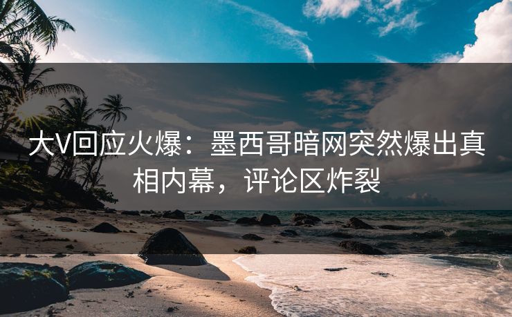 大V回应火爆：墨西哥暗网突然爆出真相内幕，评论区炸裂