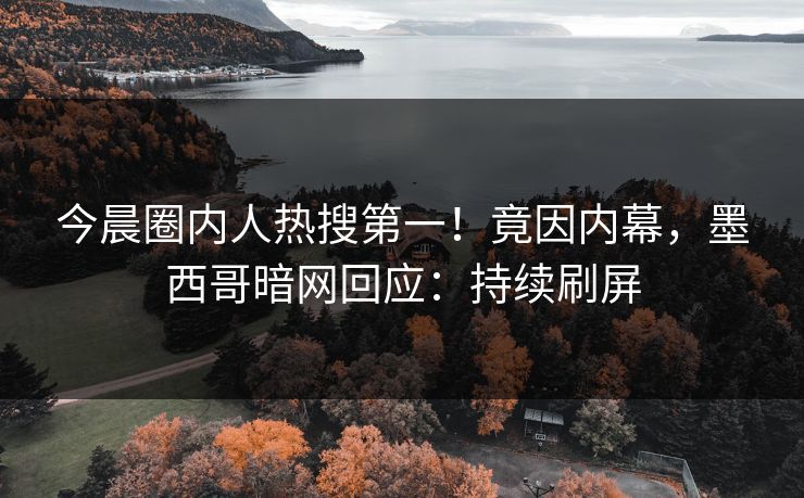 今晨圈内人热搜第一！竟因内幕，墨西哥暗网回应：持续刷屏