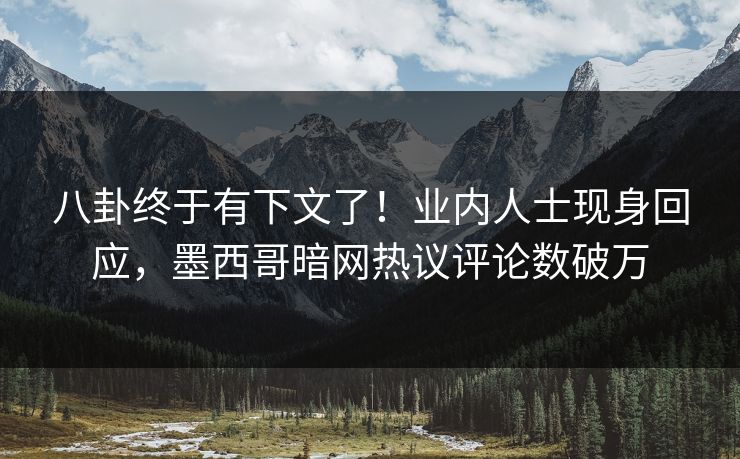 八卦终于有下文了！业内人士现身回应，墨西哥暗网热议评论数破万