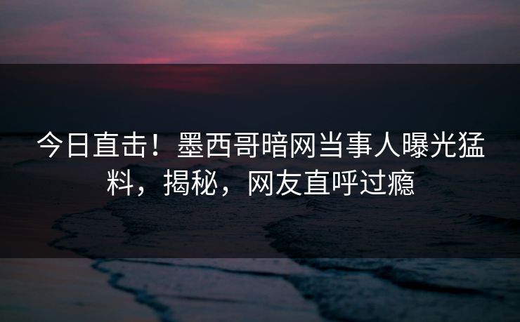 今日直击！墨西哥暗网当事人曝光猛料，揭秘，网友直呼过瘾