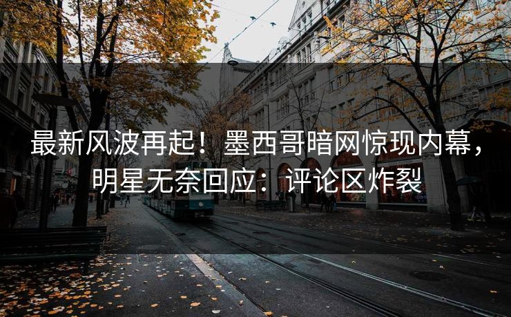 最新风波再起！墨西哥暗网惊现内幕，明星无奈回应：评论区炸裂