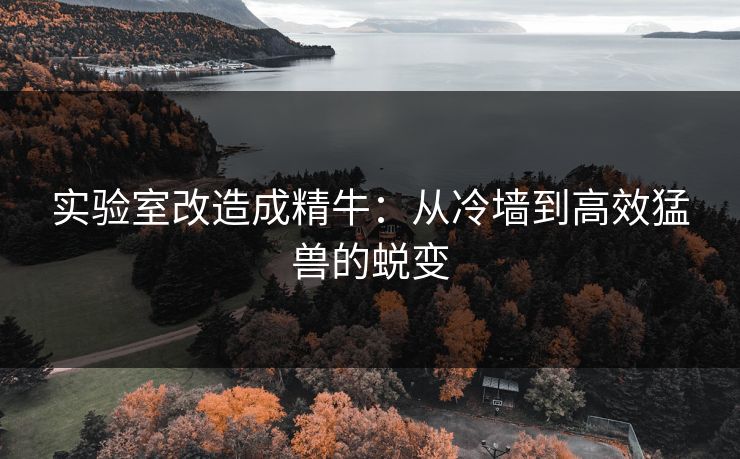 实验室改造成精牛：从冷墙到高效猛兽的蜕变