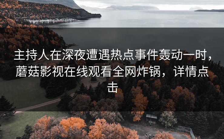 主持人在深夜遭遇热点事件轰动一时，蘑菇影视在线观看全网炸锅，详情点击