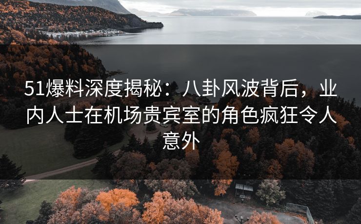 51爆料深度揭秘：八卦风波背后，业内人士在机场贵宾室的角色疯狂令人意外