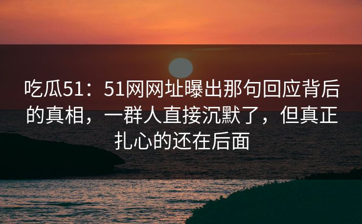 吃瓜51：51网网址曝出那句回应背后的真相，一群人直接沉默了，但真正扎心的还在后面