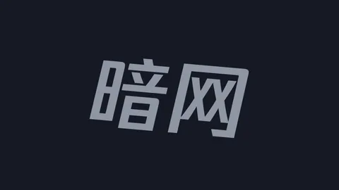 暗网揭秘：黑料技术