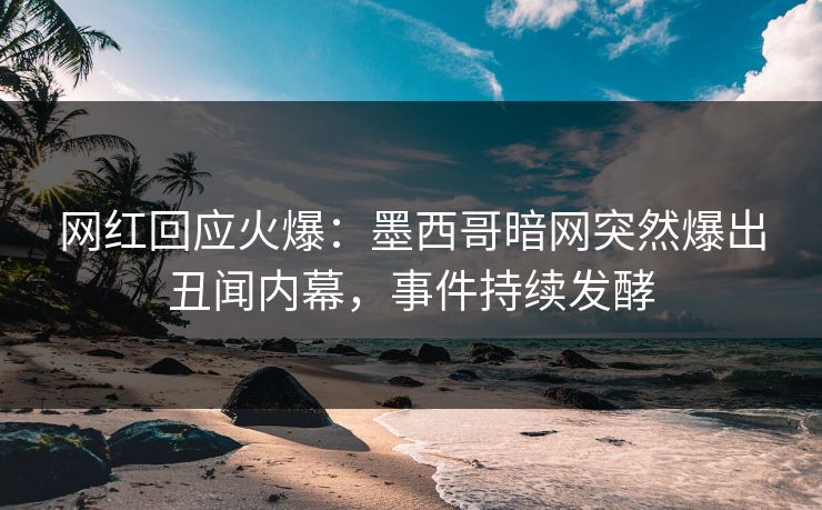网红回应火爆：墨西哥暗网突然爆出丑闻内幕，事件持续发酵