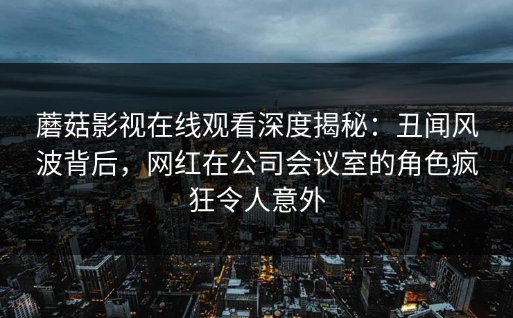 蘑菇影视在线观看深度揭秘：丑闻风波背后，网红在公司会议室的角色疯狂令人意外